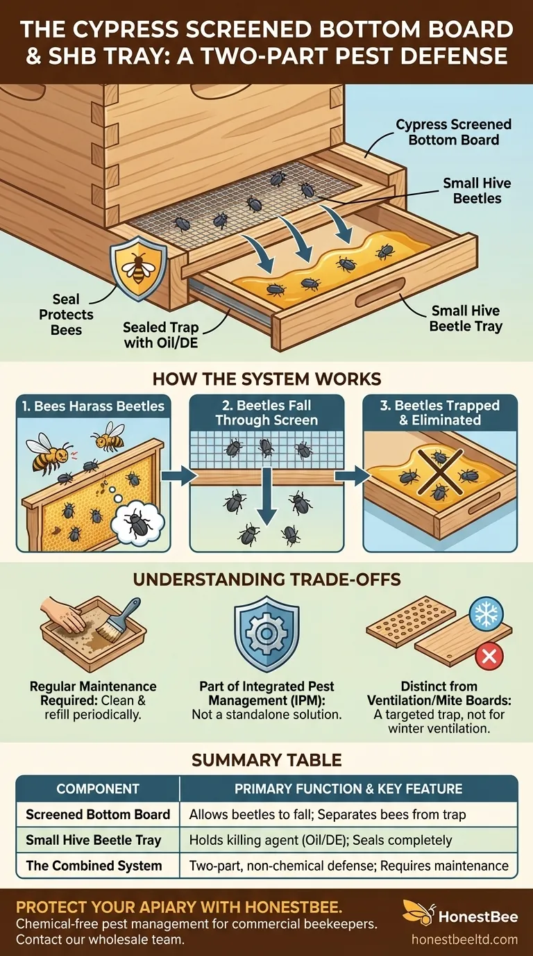 What is the purpose of the small hive beetle tray? A Non-Chemical Pest Control Solution Visual Guide