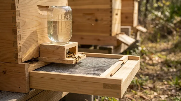 How do beekeepers use the Cypress Screened Bottom Board for feeding? A Strategic Guide to Hive Health