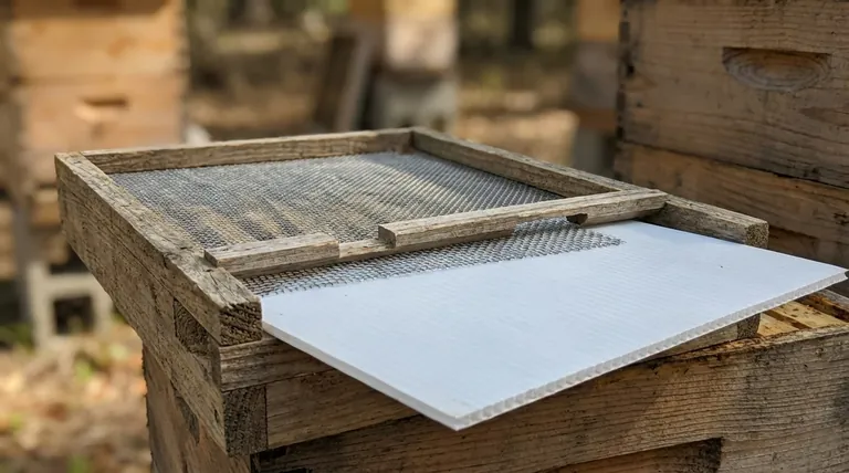 사이프러스 스크린 바닥판에는 외풍을 줄이기 위한 어떤 추가 기능이 있습니까? 연중 벌통 관리를 위한 탈착식 삽입판