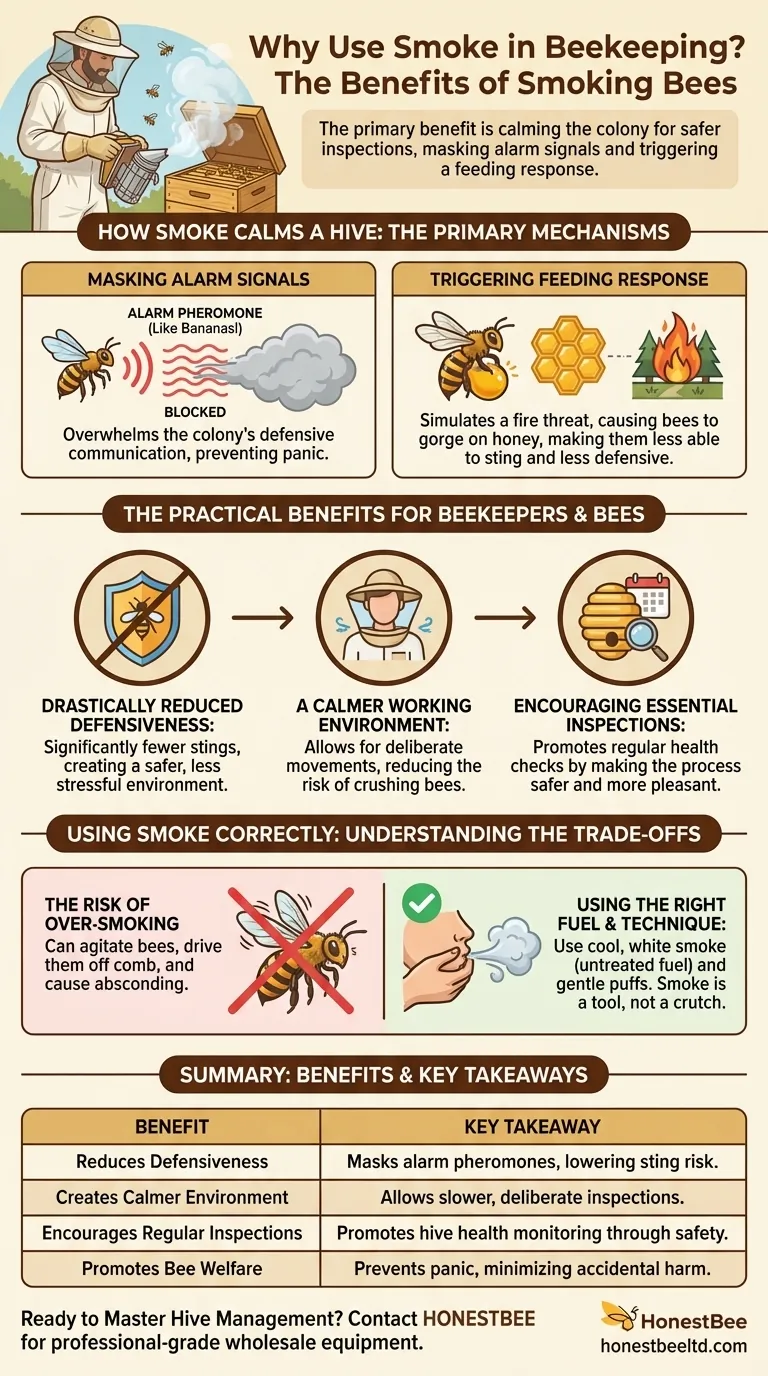 What are the benefits of smoking bees? Achieve Safer, Calmer Hive Inspections Visual Guide