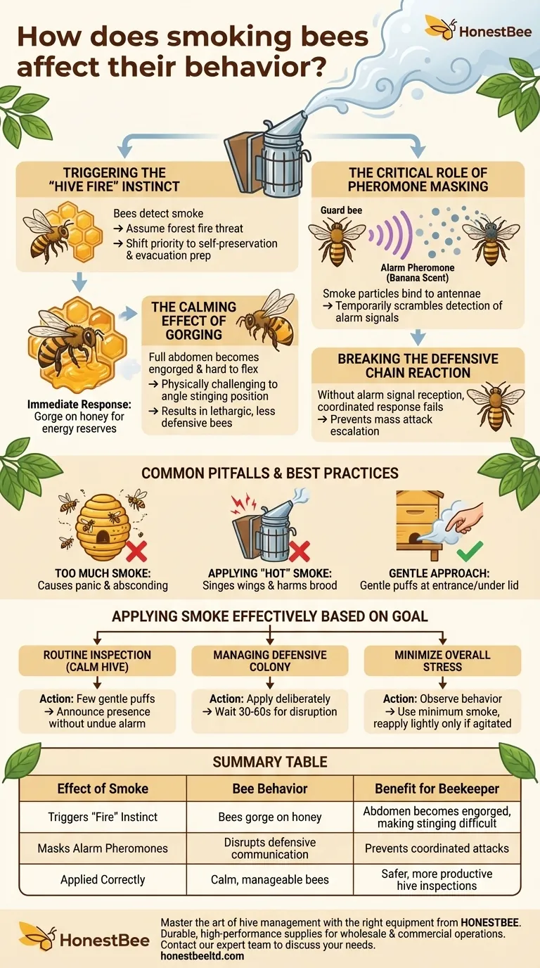 How does smoking bees affect their behavior? Unlock the Secret to Calm, Manageable Hives Visual Guide