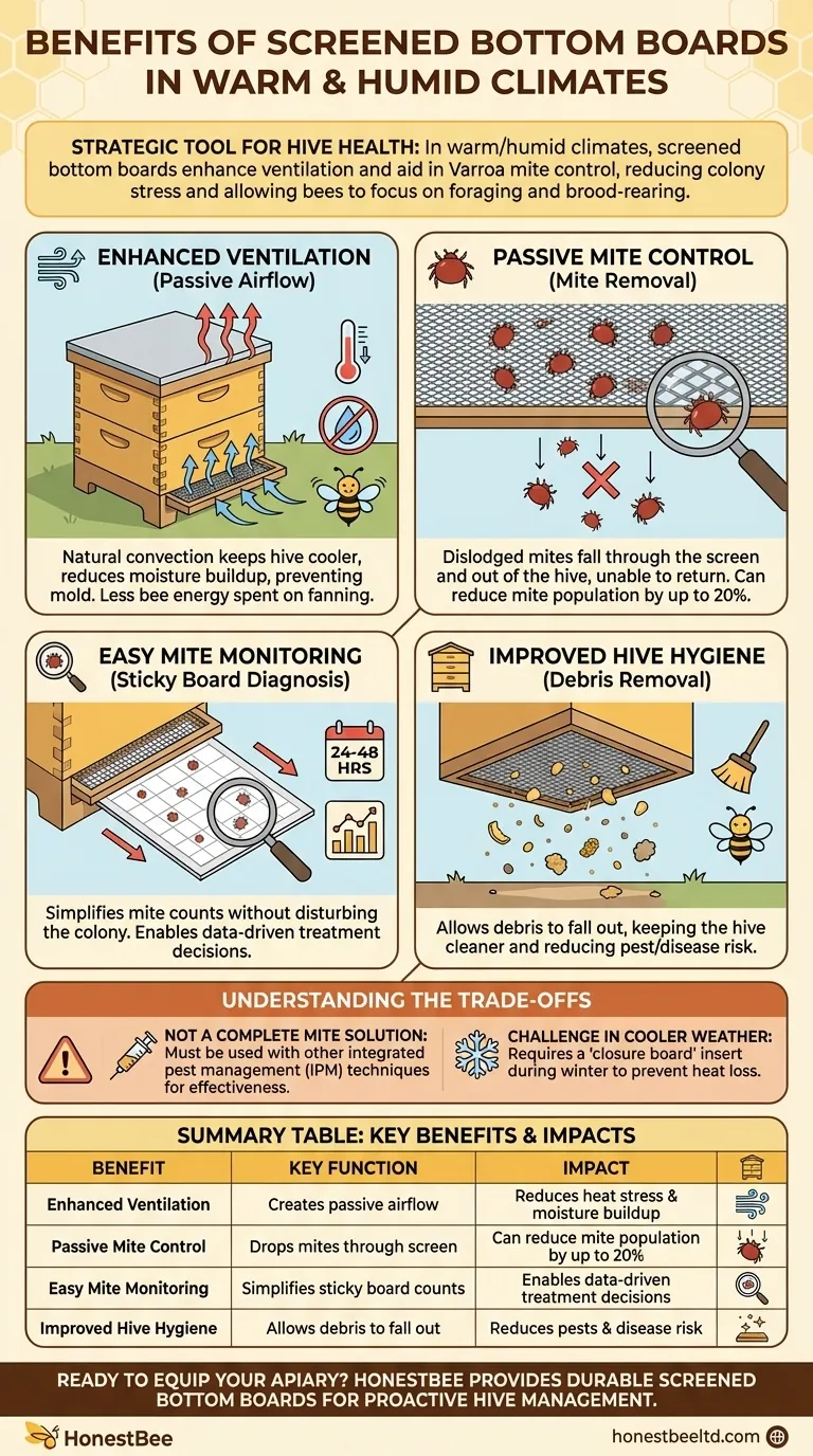 What are the benefits of using a screened bottom board in warm or humid climates? Boost Hive Health & Control Pests Visual Guide