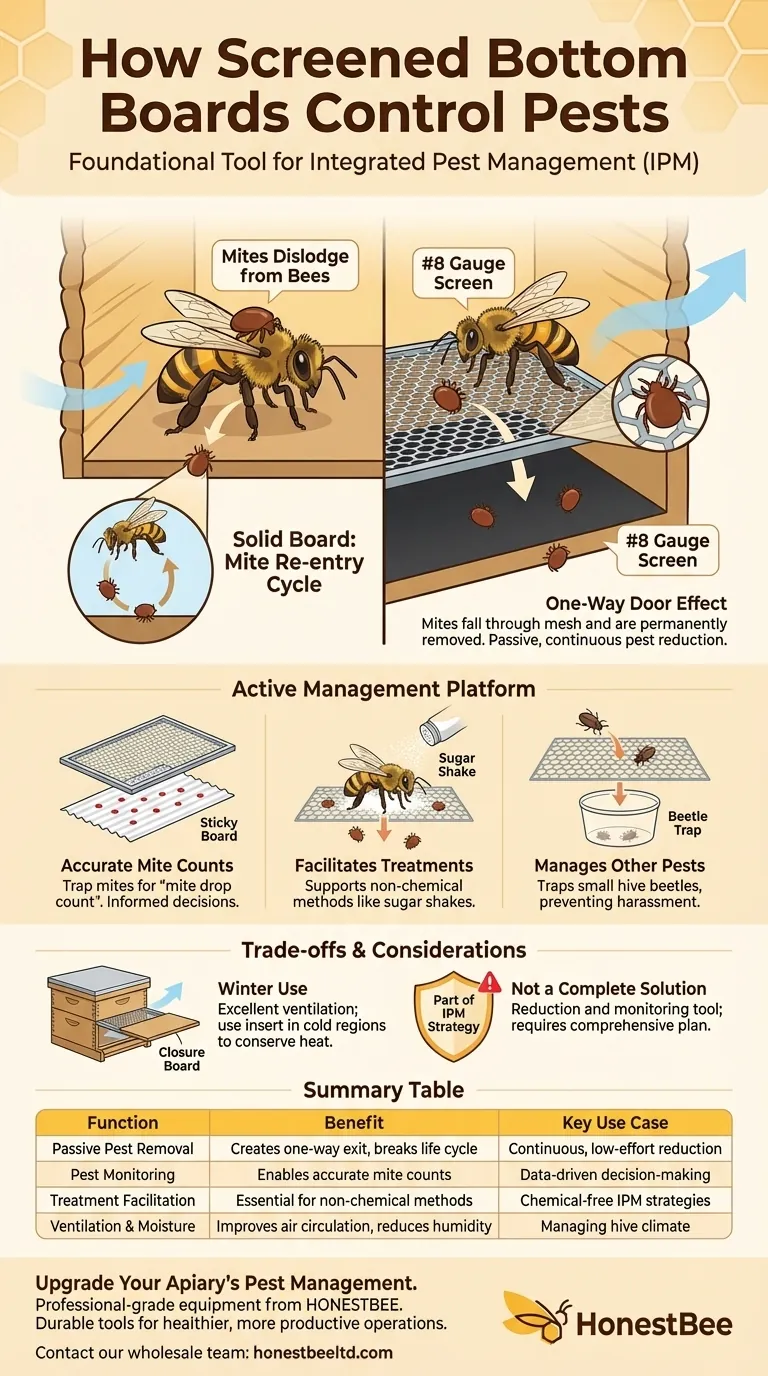 How do screened bottom boards help control pests? A Key Tool for Effective Varroa Mite Management Visual Guide