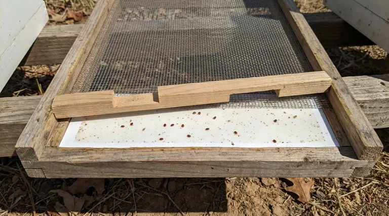 How do screened bottom boards help control pests? A Key Tool for Effective Varroa Mite Management