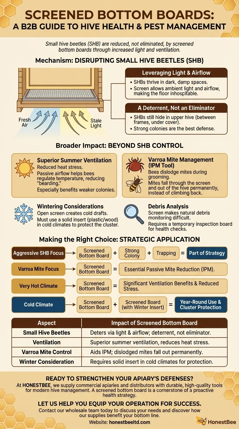 스크린 바닥판이 작은 벌집 딱정벌레에 미치는 영향은 무엇입니까? 벌통 건강 및 환기 개선 시각적 가이드