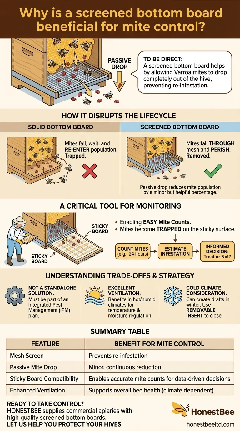 Why is a screened bottom board beneficial for mite control? A Key Tool for Varroa Management Visual Guide