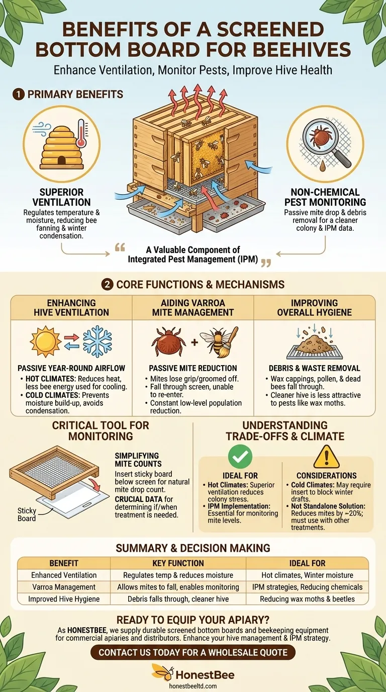 What are the benefits of using a screened bottom board for beehives? Improve Ventilation & Mite Control Visual Guide