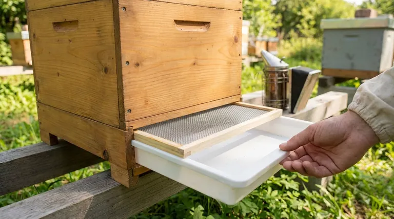 ¿Qué características ofrece el fondo de colmena con malla y tablero extraíble? Herramientas esenciales para la salud de la colmena y el control de plagas