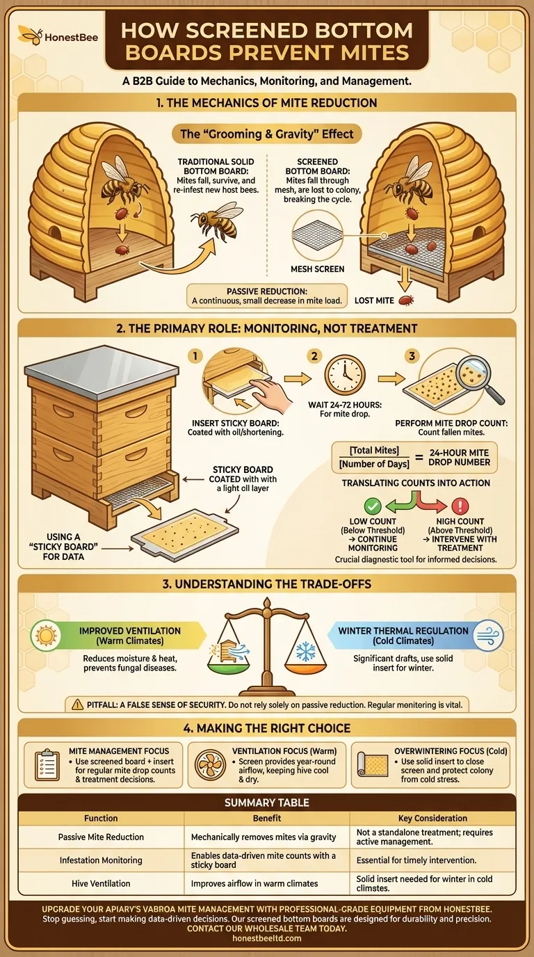 How does the Screened Bottom Board help in mite prevention? A Guide to Monitoring & Control Visual Guide