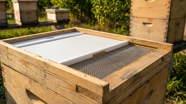 如何使用带纱网底板调节蜂箱的通风?掌握季节性气候控制