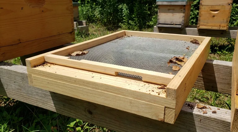 벌통에 개방형 스크린 사용에 대한 일반적인 의견은 무엇이었습니까? 벌 환기 및 현대적 절충안 살펴보기