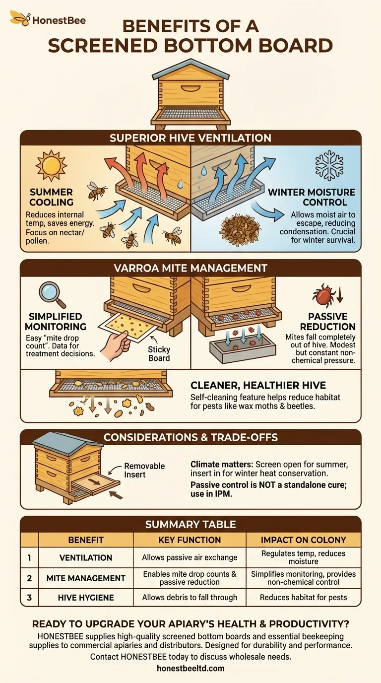 What are the benefits of using a screened bottom board? Enhance Hive Health & Mite Control Visual Guide