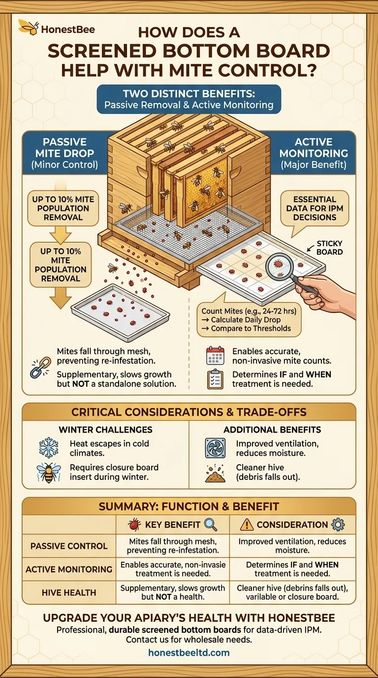 How does a screened bottom board help with mite control? A Key Tool for Beekeeping IPM Visual Guide