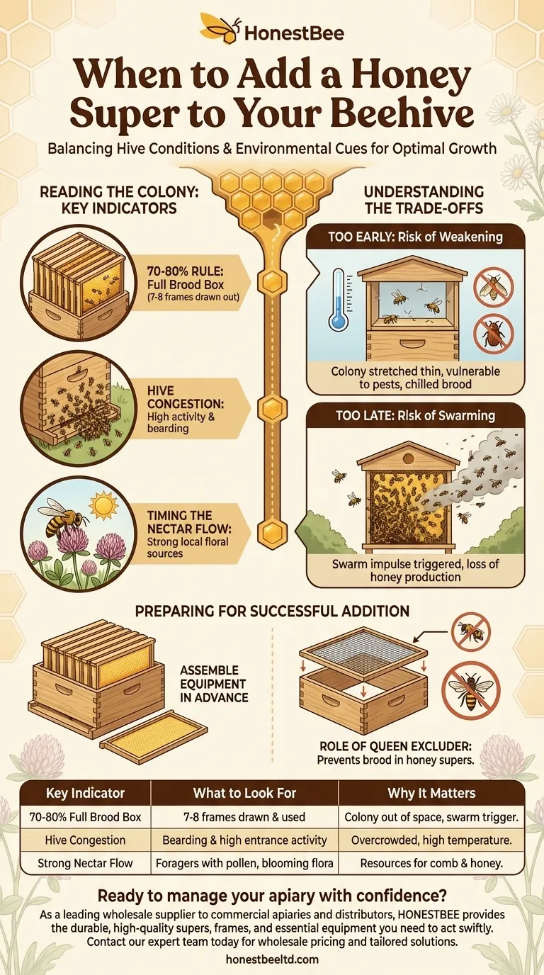 What are the signs that indicate it's time to add a super to a beehive? Prevent Swarming & Maximize Honey Production Visual Guide