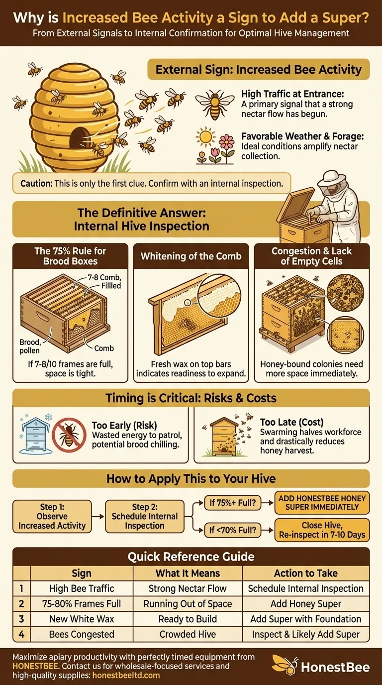 Pourquoi une activité accrue des abeilles est-elle un signe pour ajouter un corps de hausse ? Un guide pour un calendrier parfait de l'ajout de la hausse Guide Visuel