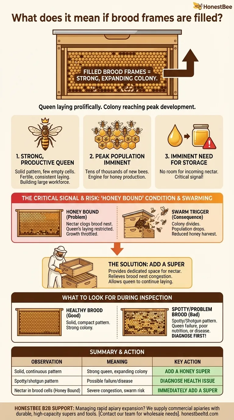 O que significa se os quadros de cria estiverem cheios? Um Sinal de uma Colônia Forte e em Expansão Guia Visual