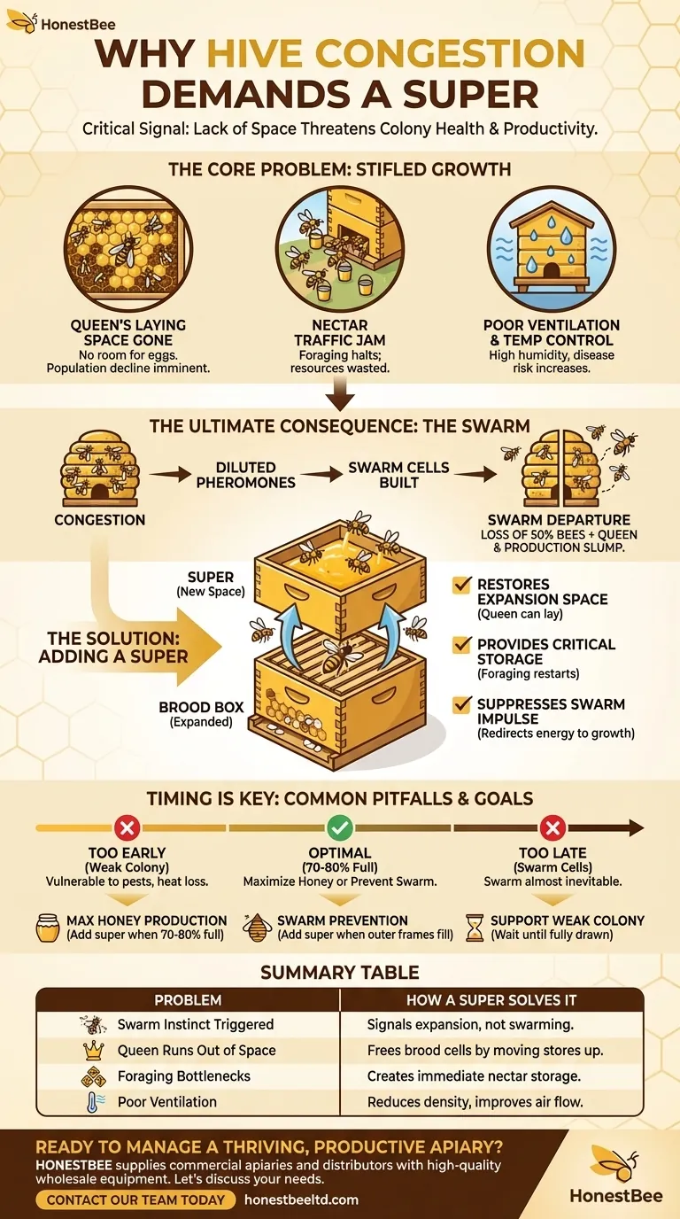 Perché la congestione dell'alveare è un motivo per aggiungere un melario? Prevenire lo sciamare e aumentare la produzione di miele Guida Visiva