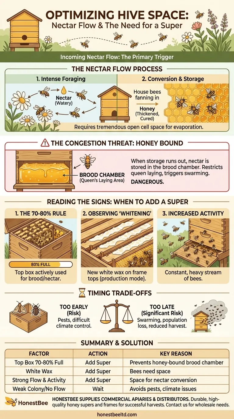 유입되는 꿀의 흐름은 벌통 윗칸(super)의 필요성에 어떤 영향을 미치나요? 분봉 방지 및 꿀 수확량 극대화 시각적 가이드