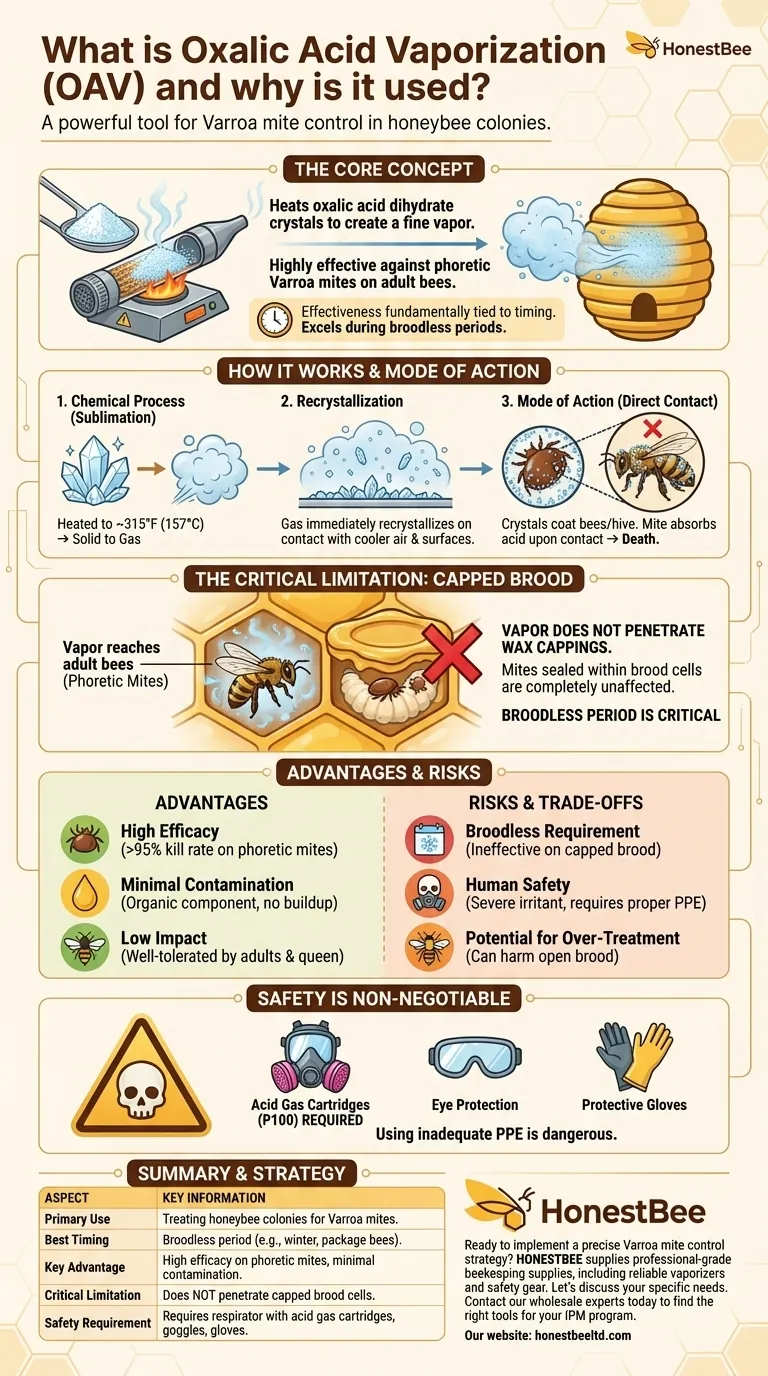 옥살산 증기 처리란 무엇인가요? 효과적인 바로아 진드기 방제 가이드 시각적 가이드