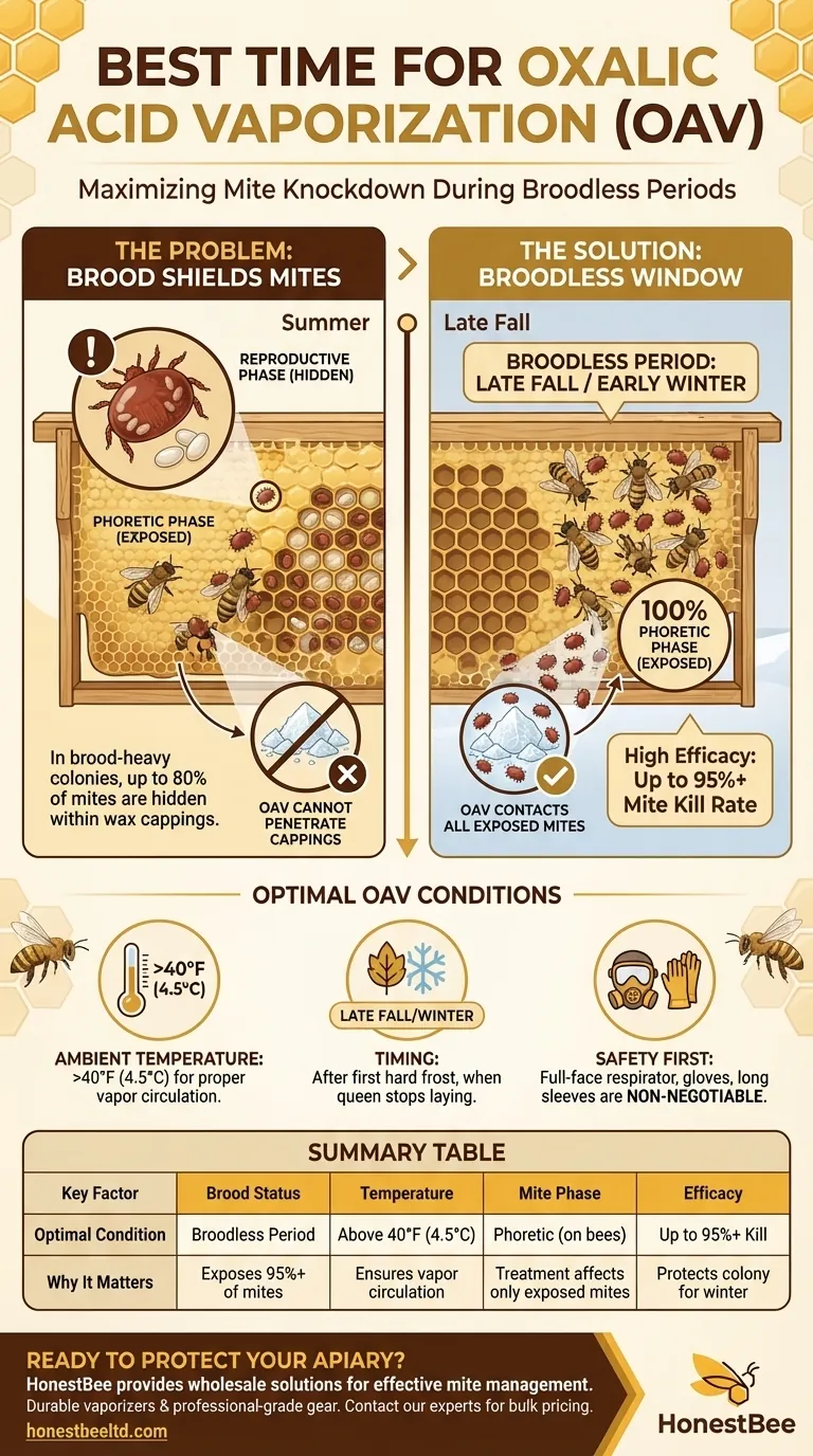 When is the best time to perform Oxalic Acid Vaporization? Maximize Mite Control for Healthy Hives Visual Guide