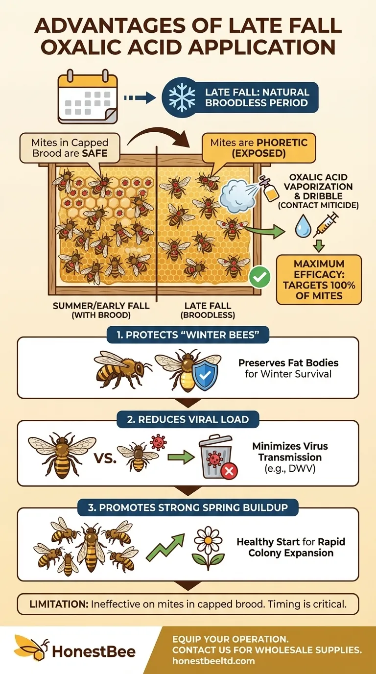 What are the advantages of applying oxalic acid in late fall? Maximize Varroa Mite Control for Winter Survival Visual Guide