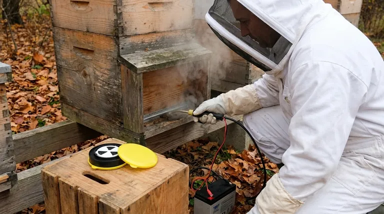 What are the advantages of applying oxalic acid in late fall? Maximize Varroa Mite Control for Winter Survival