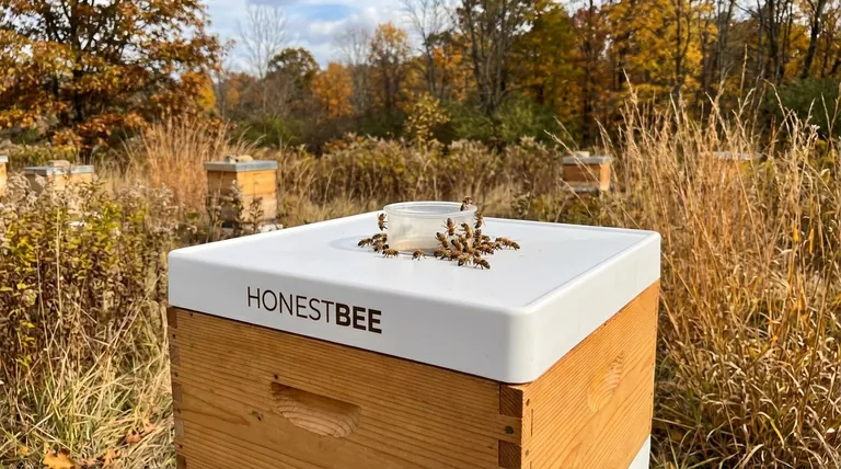 What is the importance of bee feeders in beekeeping? Essential for Colony Survival and Growth