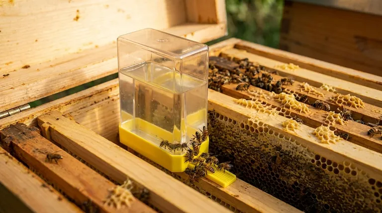 What are inside the hive feeders, and how do they work? A Guide to Safe, Effective Bee Feeding