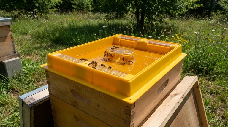 Quels sont les avantages de l'utilisation des nourrisseurs par le haut ? Maximiser l'efficacité de l'alimentation pour votre rucher