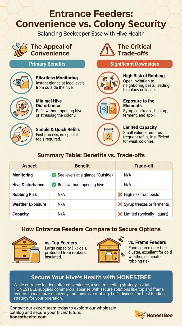 What are the benefits of using entrance feeders? Weighing Beekeeper Convenience Against Hive Security Visual Guide