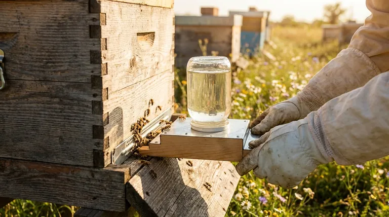 What are the benefits of using entrance feeders? Weighing Beekeeper Convenience Against Hive Security