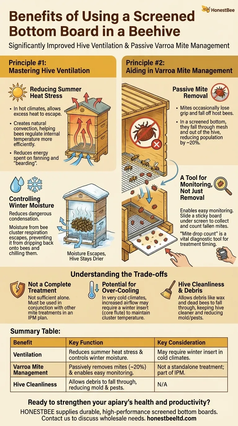 What are the benefits of a screened bottom board? Boost Hive Health & Control Varroa Mites Visual Guide