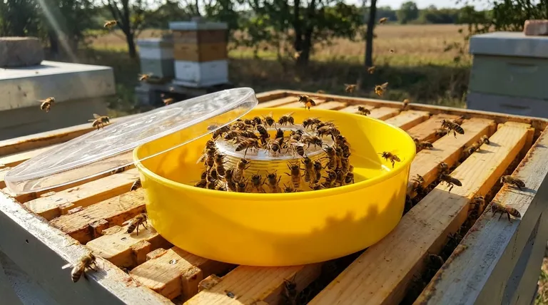 양봉업자는 왜 벌 먹이통을 사용해야 할까요? 군집 생존 및 성장에 필수적인 도구