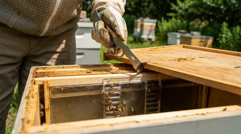 벌통 내부 급수기의 장점은 무엇인가요? 벌집 보안 및 효율성 극대화