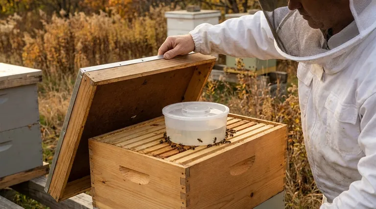 양봉가는 언제 식량 부족을 모니터링해야 합니까? 군집 굶주림을 방지하기 위한 중요한 시기.