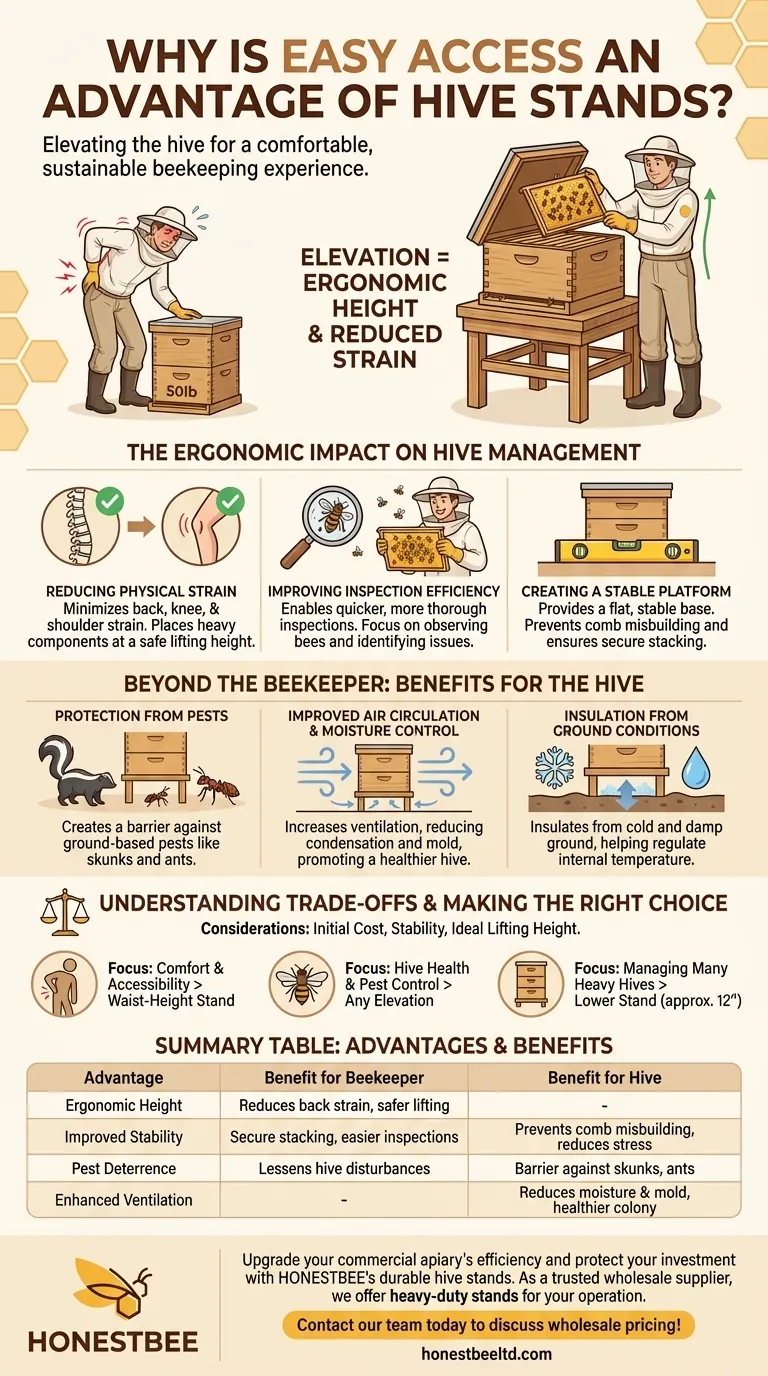 Why is easy access an advantage of using hive stands? Boost Apiary Efficiency & Protect Your Back Visual Guide