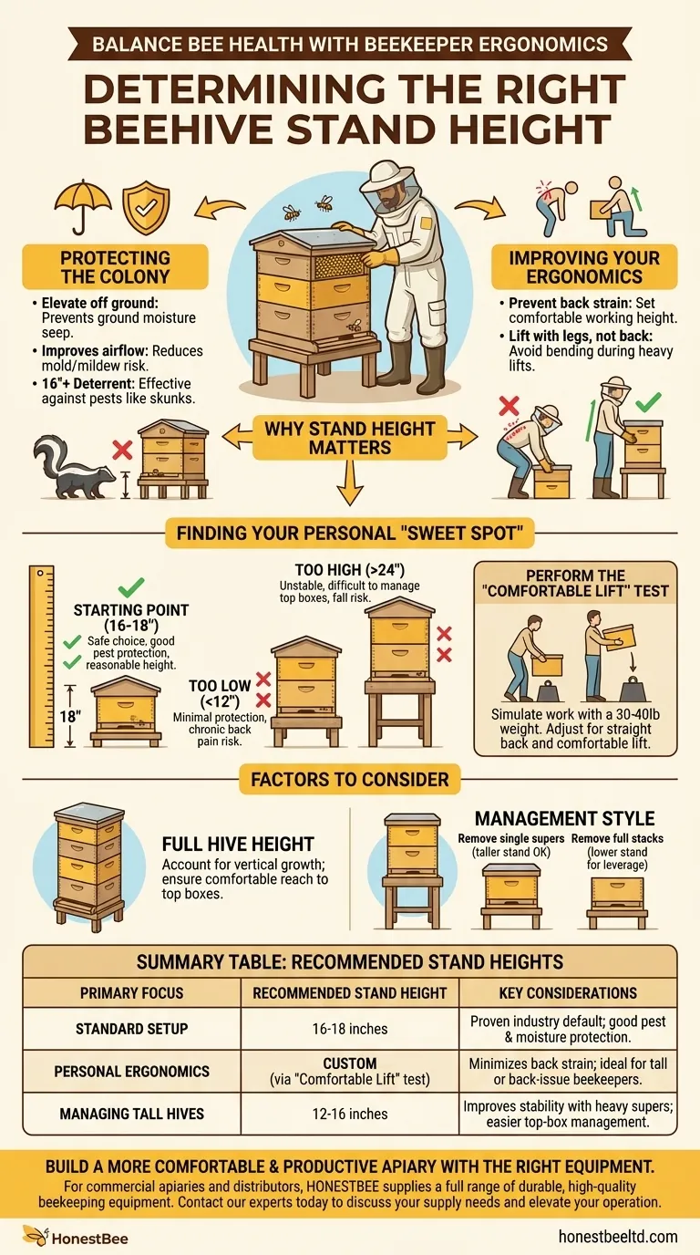 벌통 받침대의 높이는 어떻게 결정해야 할까요? 인체공학적 최적점을 찾아보세요 시각적 가이드