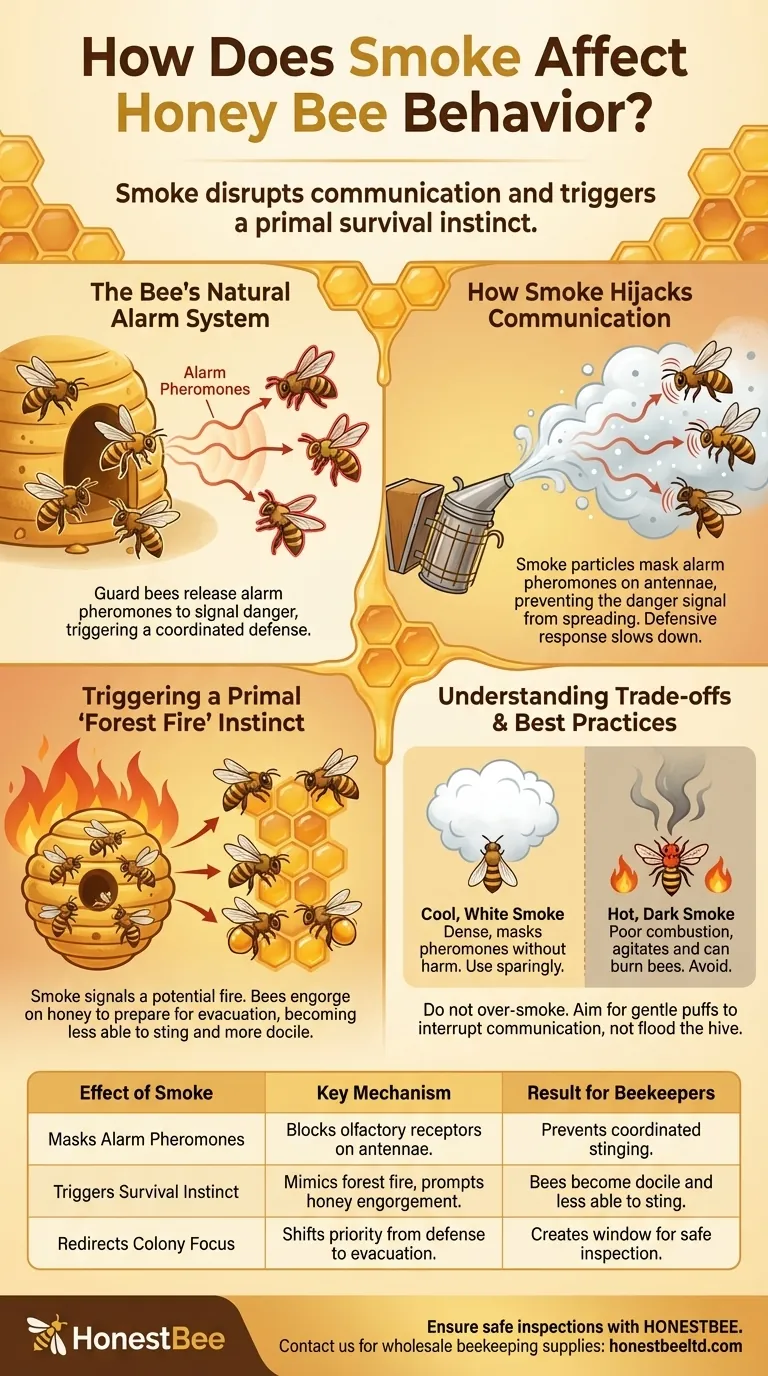 연기가 꿀벌의 행동에 어떤 영향을 미칠까요? 침착한 벌통 검사 기술 마스터하기 시각적 가이드