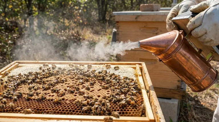 Was passiert mit Bienen, wenn sie Rauch wahrnehmen? Entschlüsseln Sie das Geheimnis ruhiger Bienenstockinspektionen