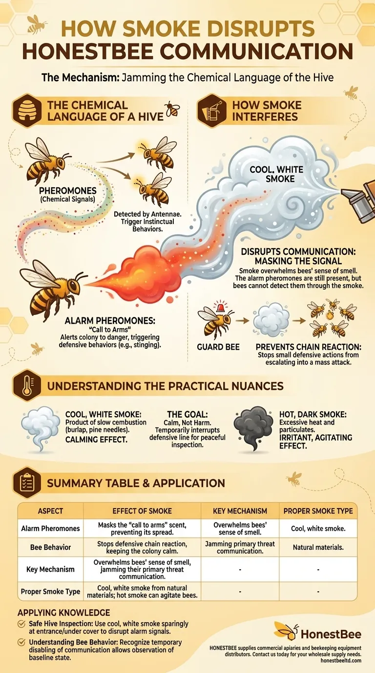 煙はミツバチのコミュニケーションにどのように影響しますか？警報フェロモンを妨害してより安全な養蜂を ビジュアルガイド