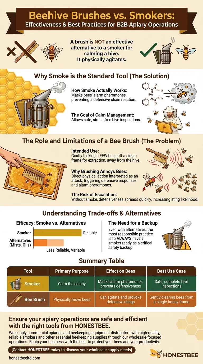 Quelle est l'efficacité des brosses comme alternative à la fumée dans les ruches ? Évitez d'agiter votre ruche Guide Visuel