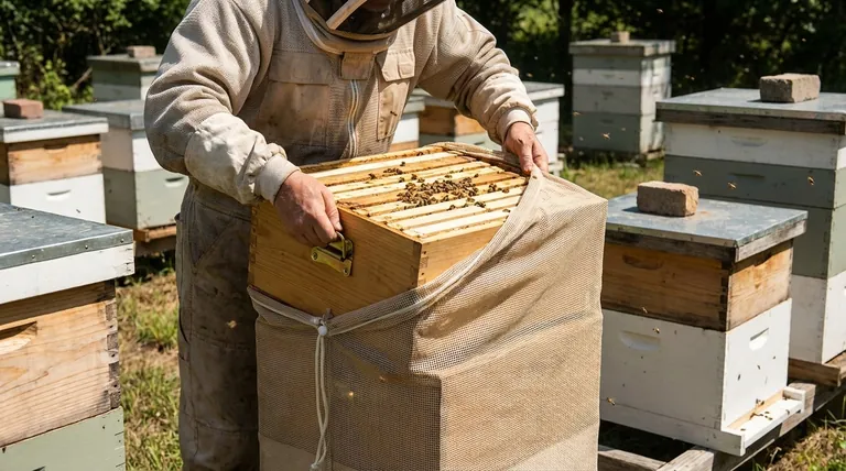 In che modo il sacco da trasporto a rete Nuc aiuta con i melari medi? Assicurare un raccolto pulito e sicuro