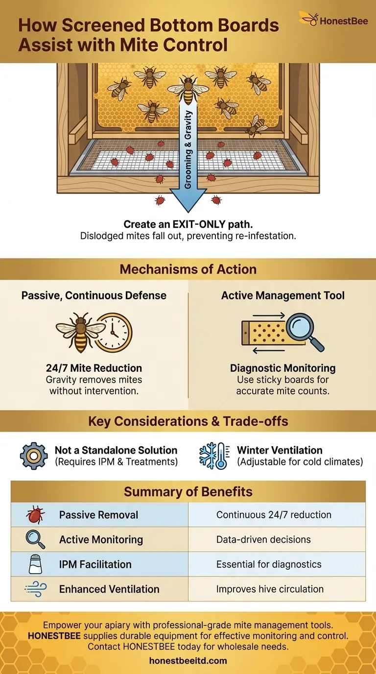 Comment les fonds de ruche grillagés aident-ils à lutter contre les acariens ? Un outil clé pour la lutte intégrée contre l'acarien Varroa Guide Visuel