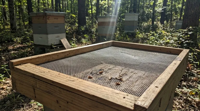 스크린 바닥판이 해충 방제에 덜 효과적인 이유는 무엇일까요? '혼합 일조량'의 복잡성 이해하기