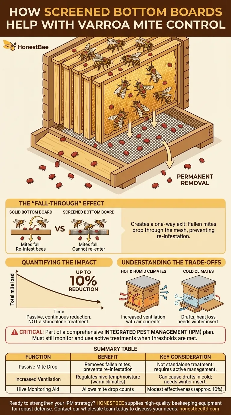 ¿Cómo ayuda un fondo de colmena con rejilla al control de la Varroa? Una herramienta clave para el MIP pasivo Guía Visual