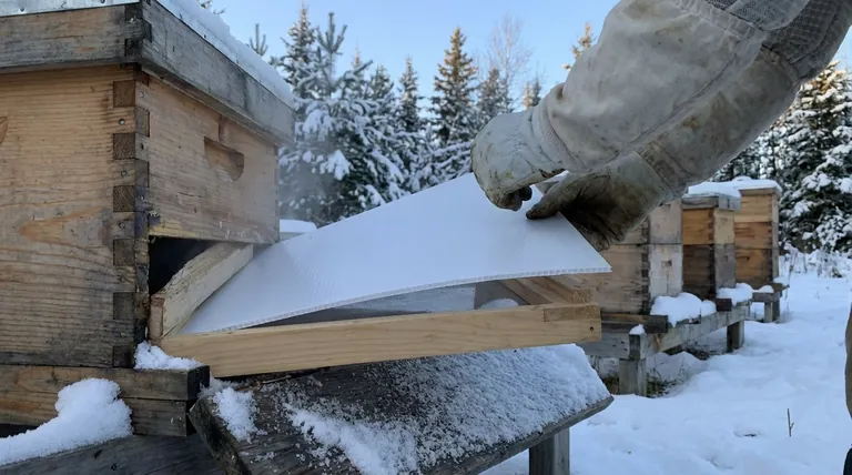 Comment fonctionne une planche de fond grillagée dans les climats froids ? Maîtriser la ventilation de la ruche en hiver