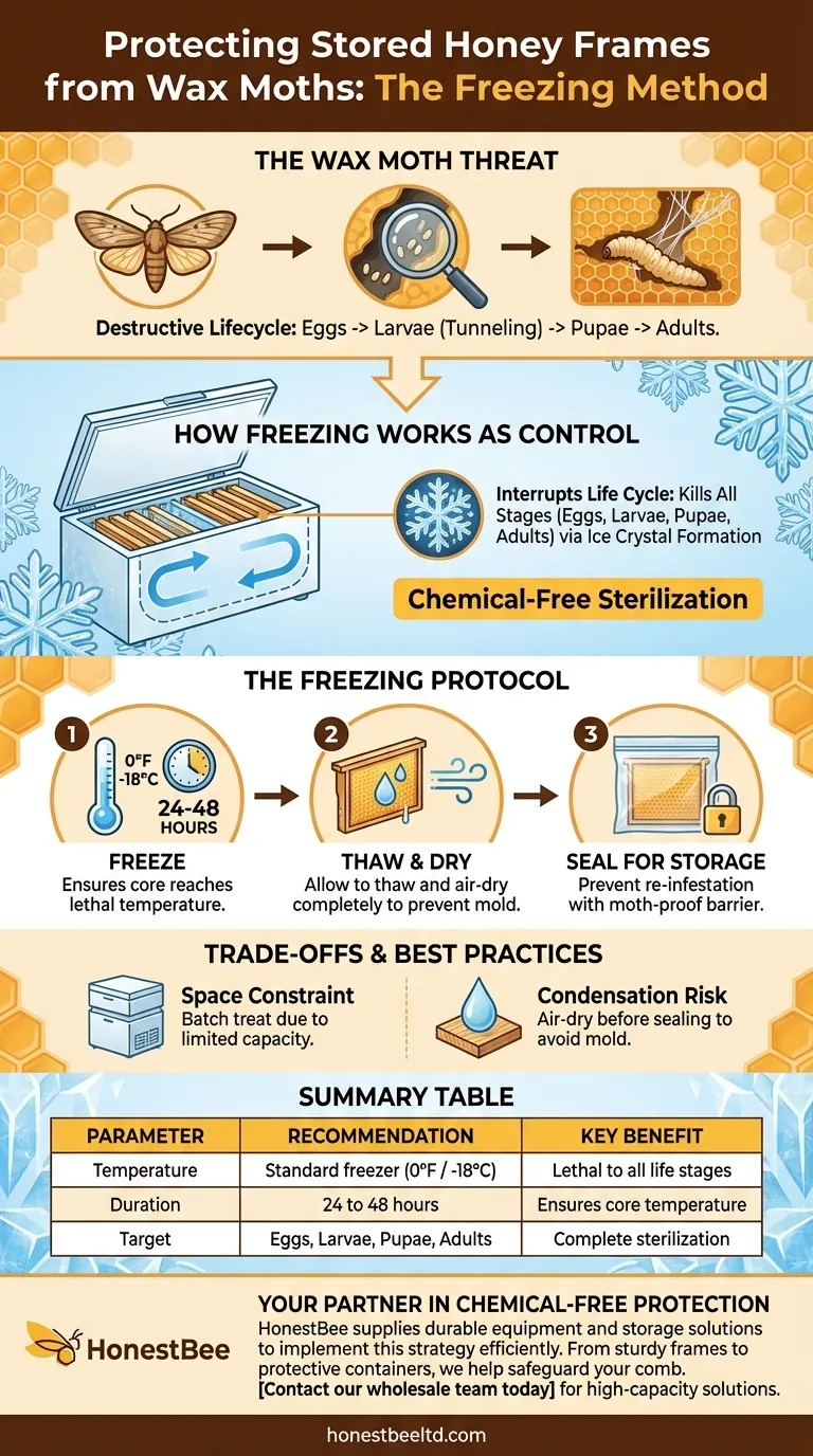 How can freezing temperatures help protect honey frames from wax moths? A Chemical-Free Solution Visual Guide