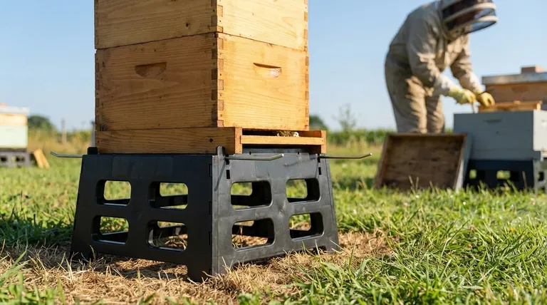 What is the purpose of using a hive stand? Elevate Your Hive for Health and Beekeeper Comfort