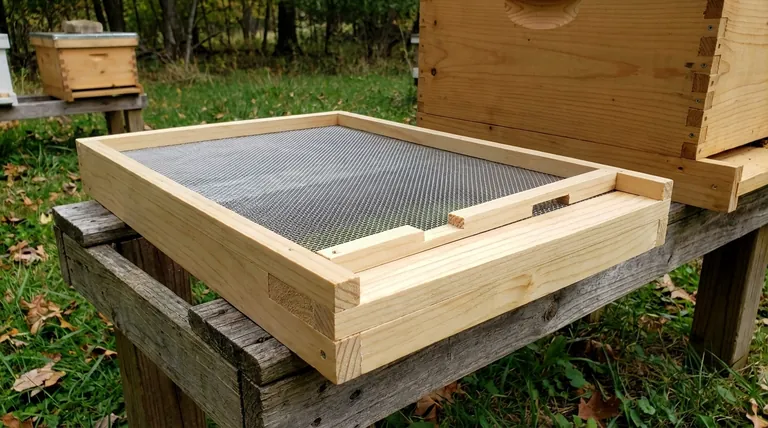 ¿Cuáles son los beneficios de usar una malla metálica para el piso de una colmena? Mejora la ventilación y el control de los ácaros Varroa