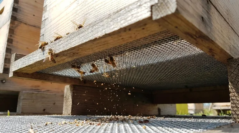 How does wire mesh help maintain airflow in a beehive? | Boost Hive Health & Reduce Mites